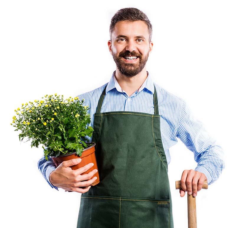 <span class='t-color3'>Perez Nursery & Plant:</span> Your Trusted Plant Sales Company 